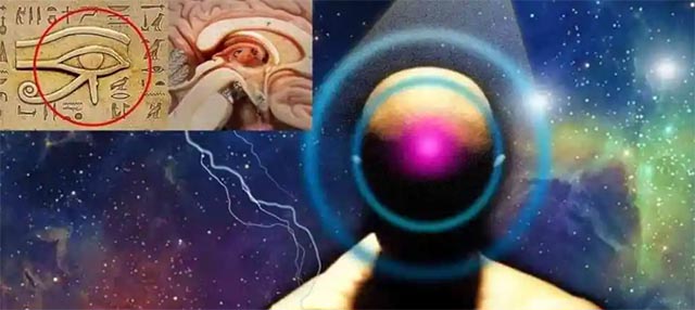 Die Zirbeldrüse: Das größte Geheimnis der menschlichen Biologie, des spirituellen Erwachens und der übernatürlichen Fähigkeiten