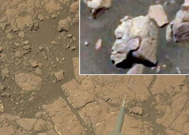 Antike Kopfstatue, fotografiert vom Curiosity Rover auf dem Mars