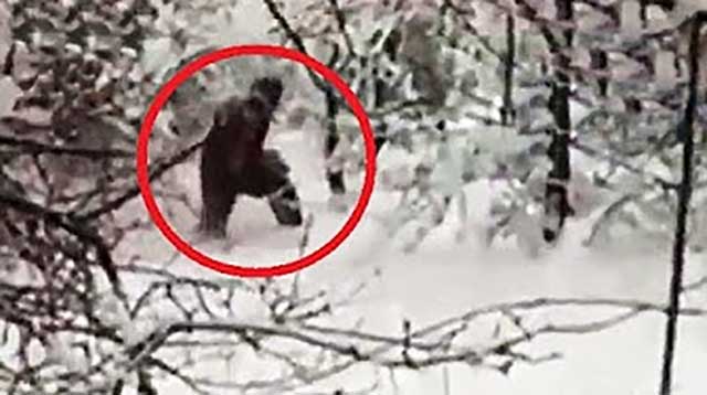 Auf den Spuren von Bigfoot, Yeti & Co: Beweise aus Russland (Video)