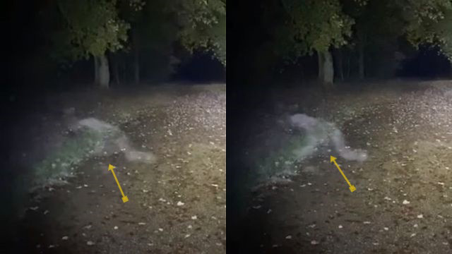 „Dämonengeist“: Seltsame Figur nachts im Wald gefilmt