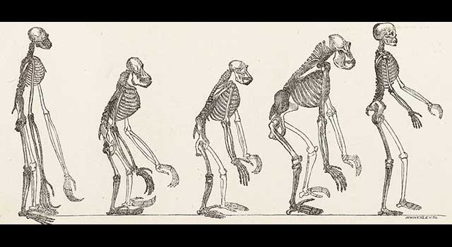 Evolutionslügen: Fiktive Datierungen