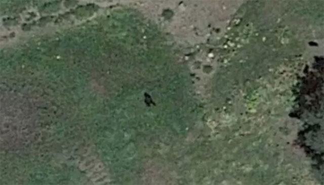 Bigfoot-Mysterium: Riesige affenähnliche Kreatur, die auf Google Earth zu sehen ist