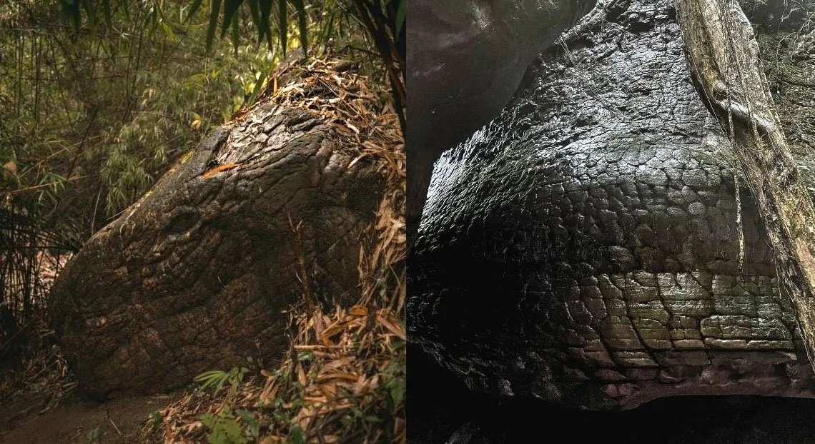 Altes Fossil? Felsen und Höhle in Thailand sieht aus wie eine riesige versteinerte Schlange