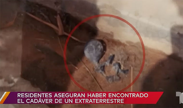 TV-Bericht: Mini-Außerirdischer angeblich in Bolivien gefunden (Video)
