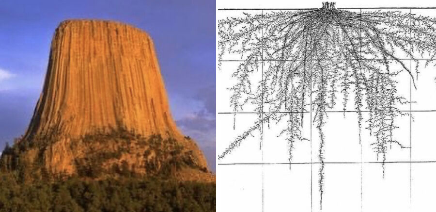 Devil`s Tower: Ein Häuptling über den 50 Millionen Jahre alten Baumstumpf (Video)