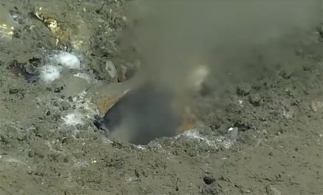 Alarm an der US-Westküste: Sorgt dieses Meeres-Loch für ein Super-Erdbeben? (Video)