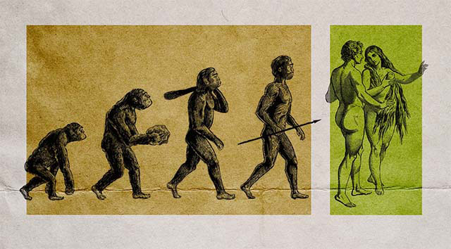 Die Evolutionstheorie ist unbewiesen und unbeweisbar
