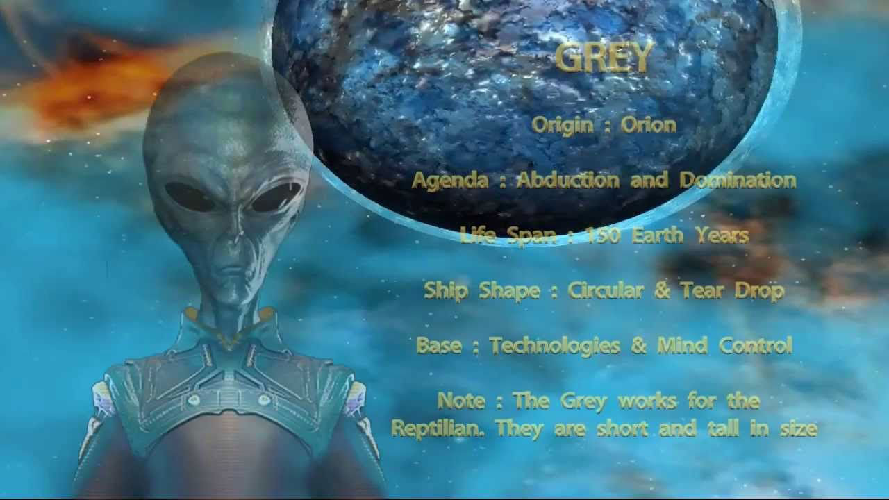Das Alien-Netzwerk: Die guten Jungs und die Bösen im Weltraum