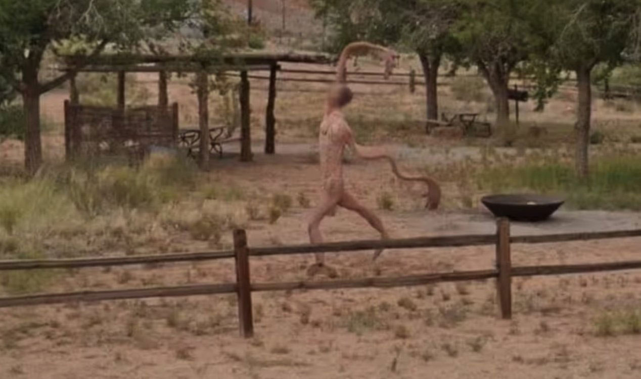 Bizarre „Kreatur“ mit langen, rudernden Armen auf Google Street View entdeckt