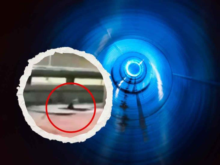 Medienbericht: Gestaltwandelndes Wesen taucht aus Loch im Bürgersteig einer mexikanischen Stadt auf? (Video)