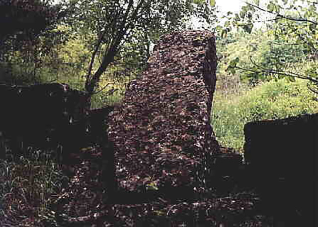 Der „Marsberg“: Die gewaltige Megalith-Nekropole bei Würzburg