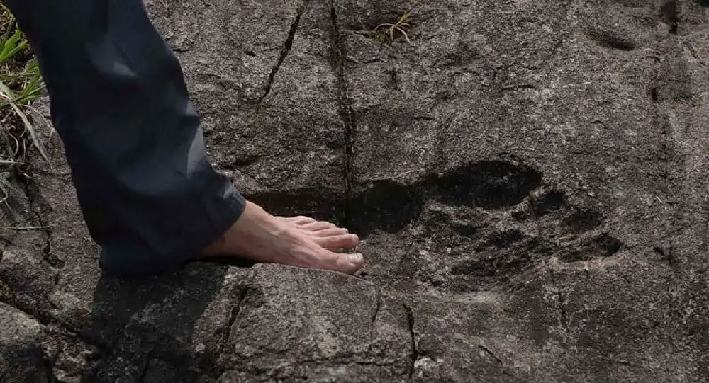 In China wurde ein riesiger Fußabdruck entdeckt (Video)