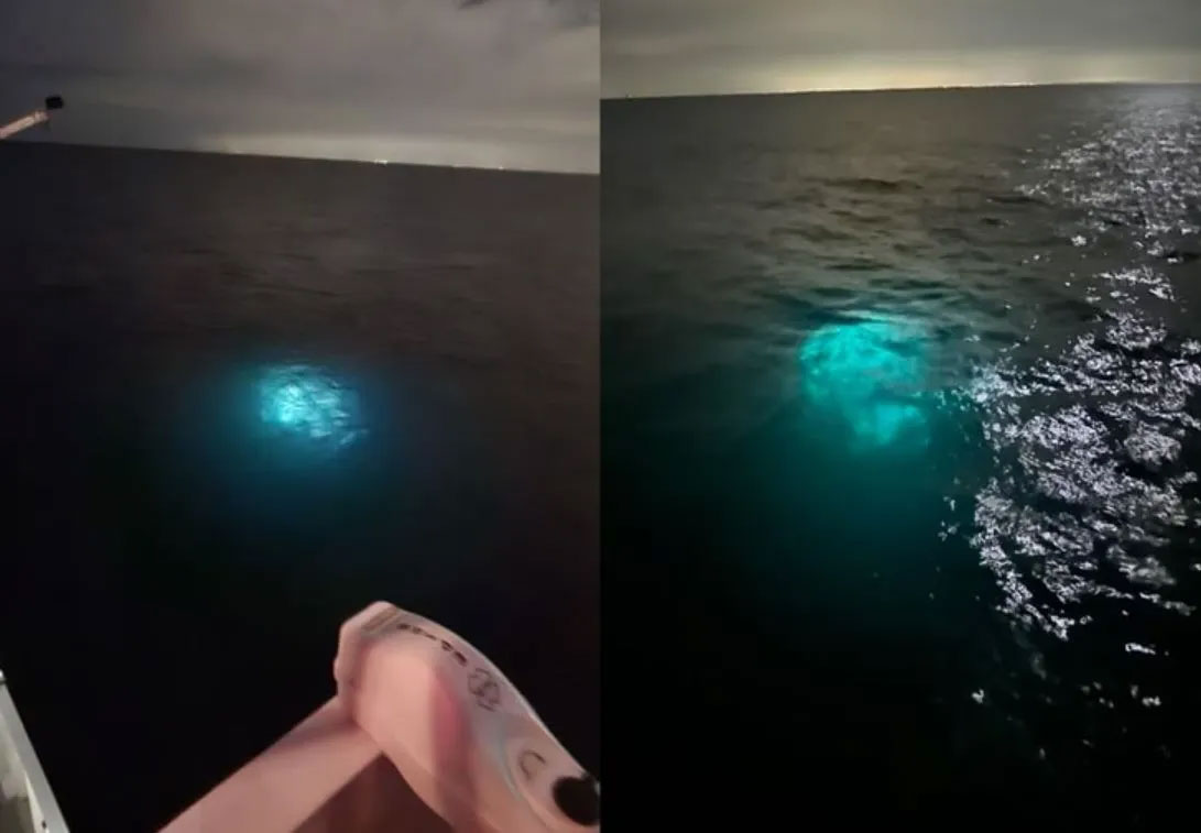 USO strahlt starkes Licht aus, gefilmt von einem Forschungsschiff im Golf von Mexiko (Video)
