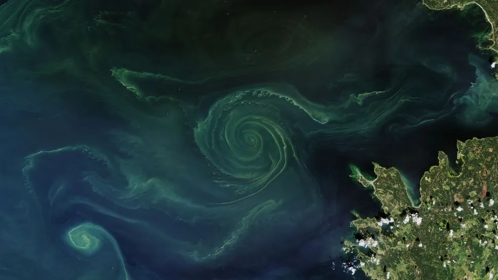 Riesige grüne Spirale wurde aus dem Weltraum in der Ostsee gesichtet