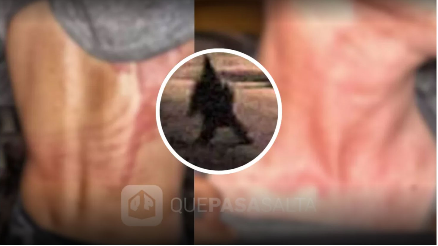 Lokaler Medienbericht: Bauer filmte koboldähnliche Kreatur, die ihn später angriff (Video)