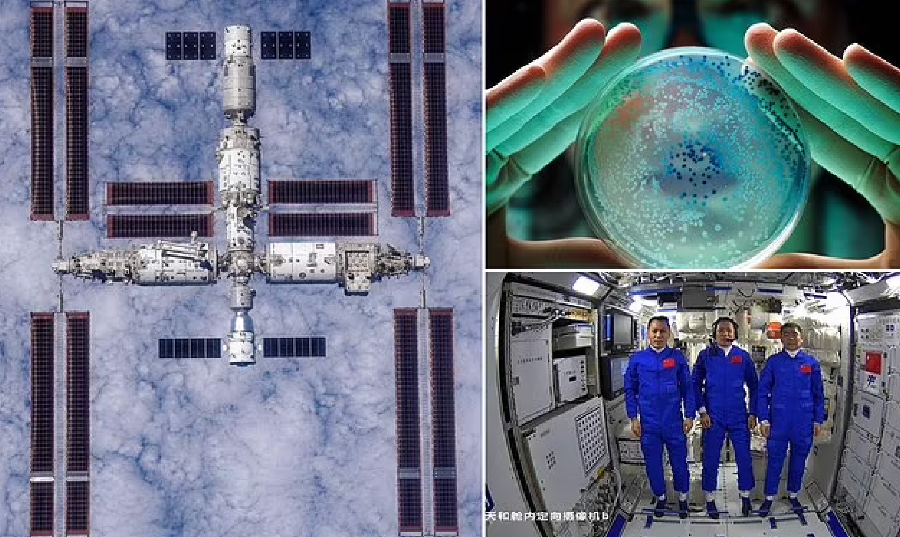 Auf einer chinesischen Raumstation wurden neue Bakterien entdeckt