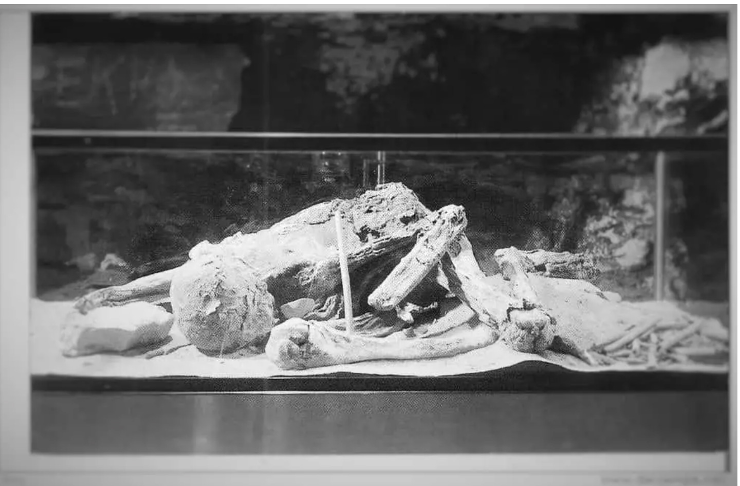 Verbotene Archäologie: Die mysteriöse Mumie: Altägyptische Präsenz in Nordamerika