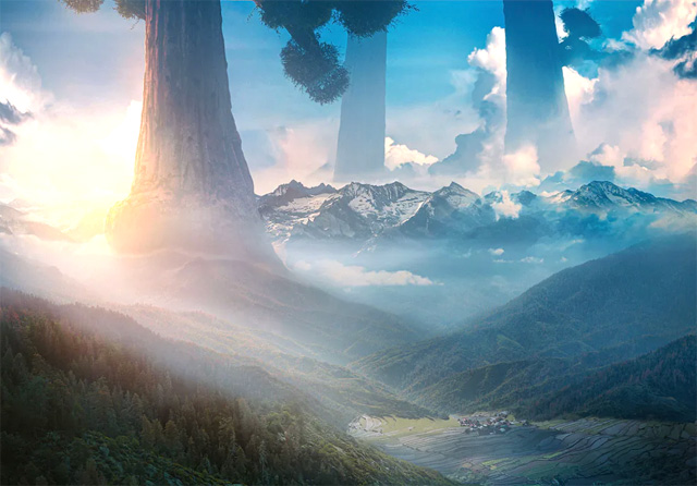 Die vergessene Welt der Riesenbäume: Überreste dieser Giganten existieren noch heute