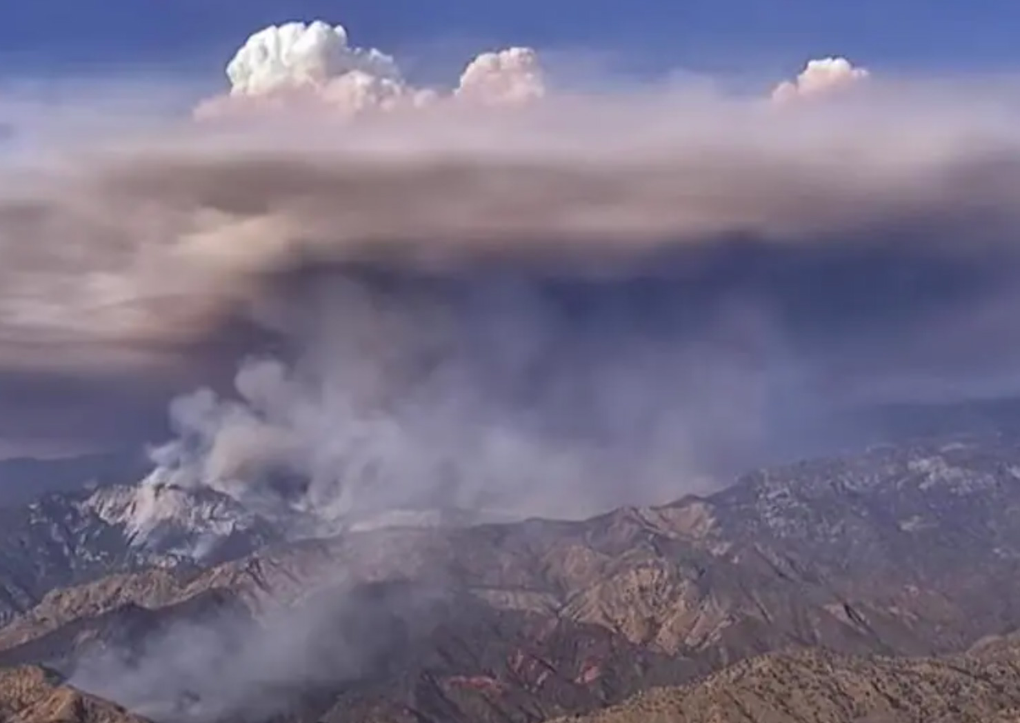 USA: Mammutbäume durch Waldbrand in Kalifornien bedroht