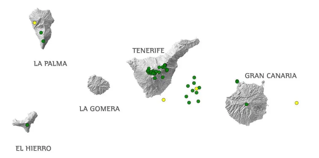 Anhaltende Erdbebenaktivität auf Teneriffa und dem Pico del Teide Vulkan
