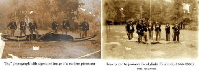 Ein echtes Bild eines Pterodaktylus? Das Geheimnis hinter dem Dinosaurierfoto aus dem Bürgerkrieg