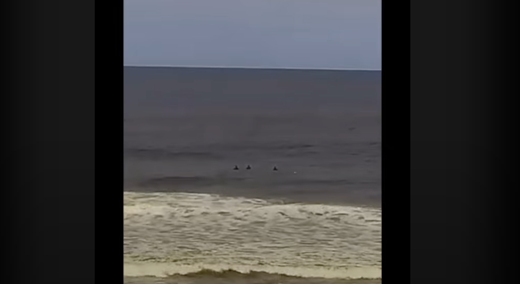 Seltsame „mysteriöse Kreatur“ erschreckt Surfer in Uruguay (Video)
