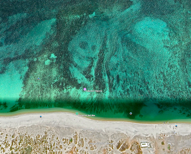 Uralter, länglicher, 200 Meter langer Alienschädel unter dem Ozean in Baja California (Video)