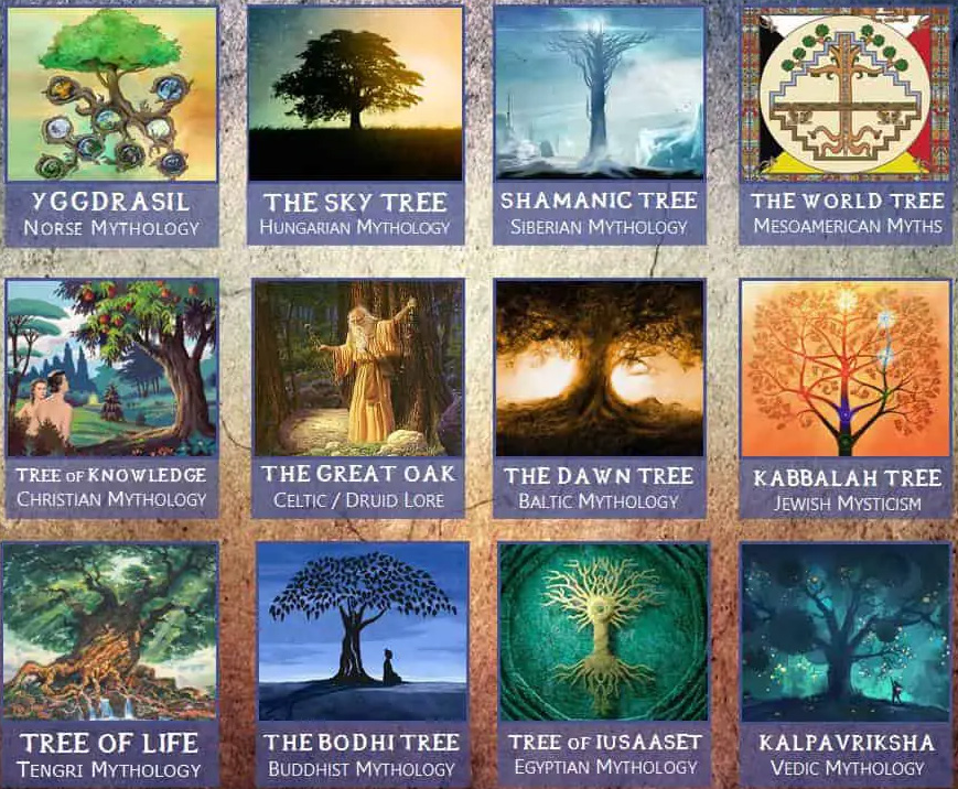 12 heilige Bäume der Weltmythologie und ihre Bedeutung