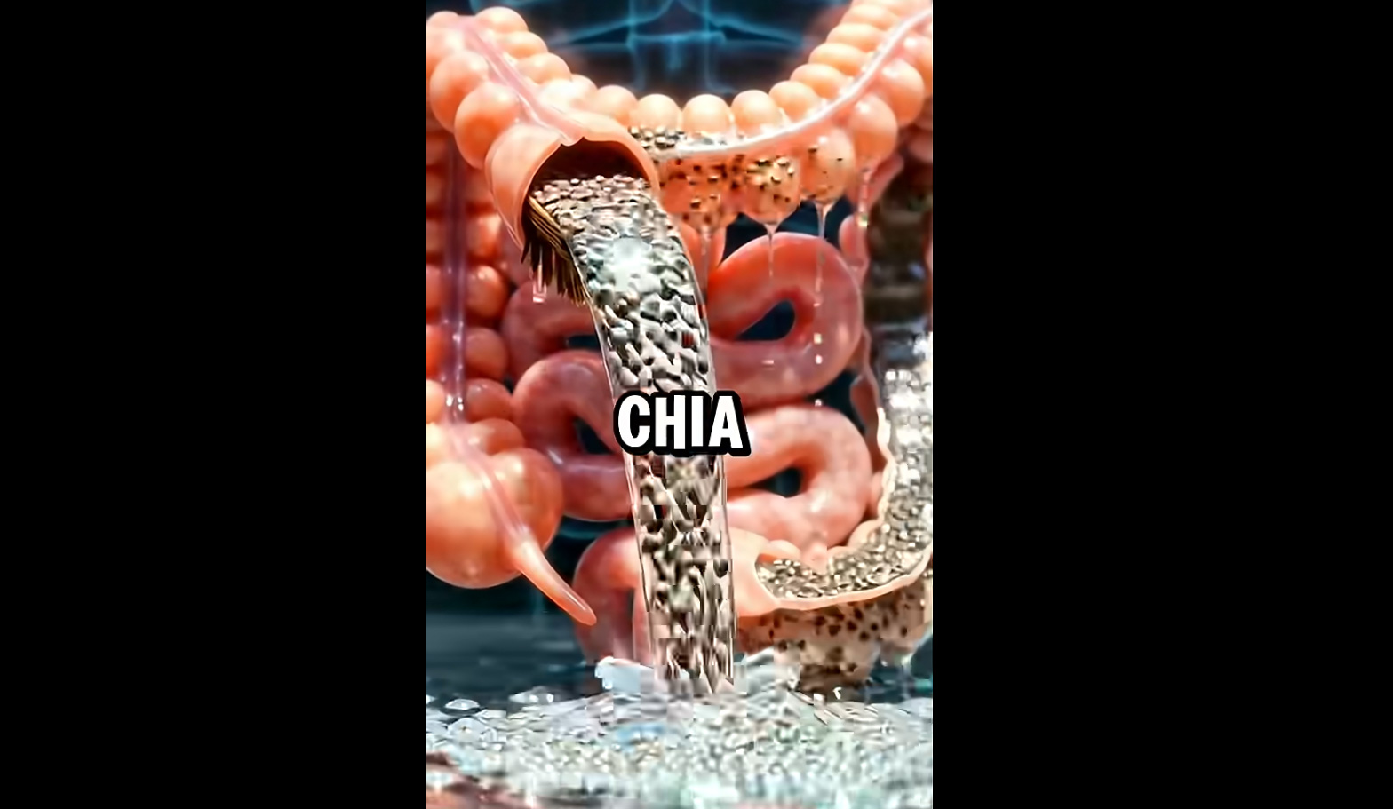 Eine irre Simulation zeigt, was die „Superfood“-Chiasamen tatsächlich im Körper bewirken