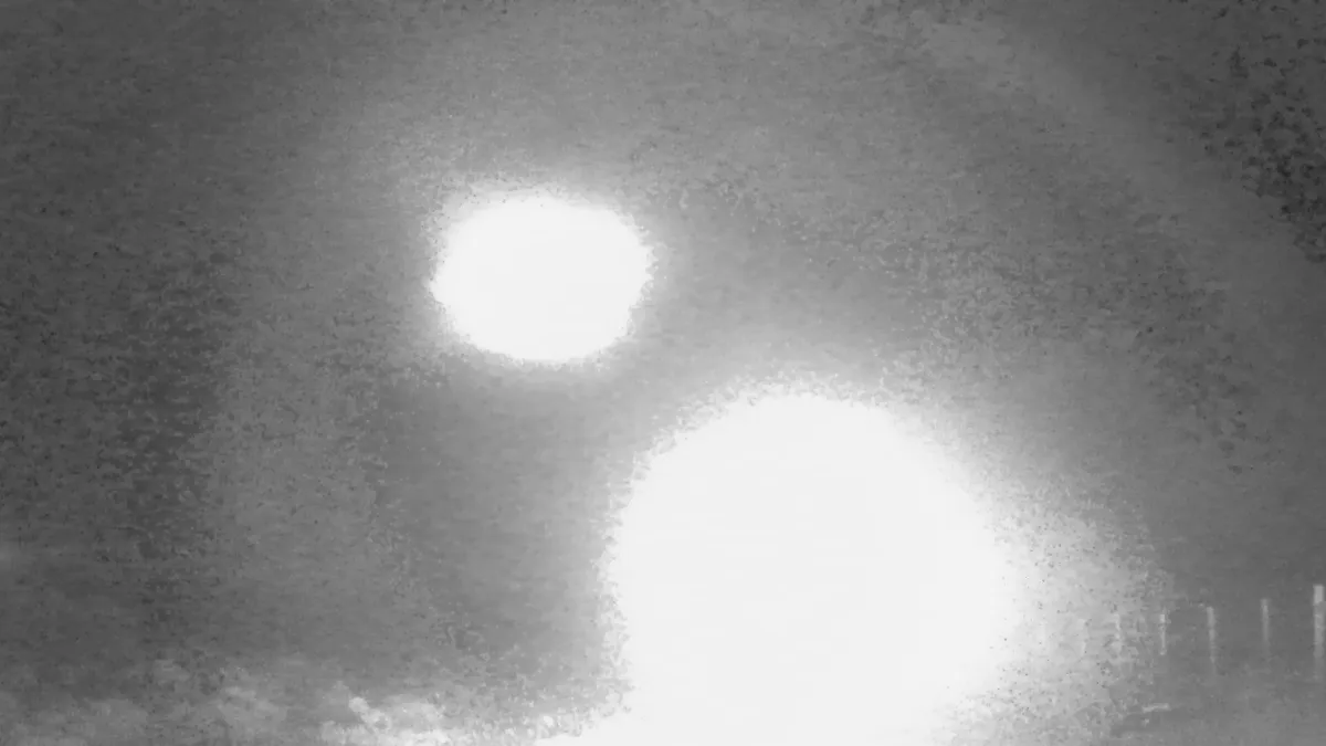 Eine Kamerafalle in Chile hat seltsame Lichter in der Wildnis entdeckt: Forscher suchen fieberhaft nach einer Erklärung