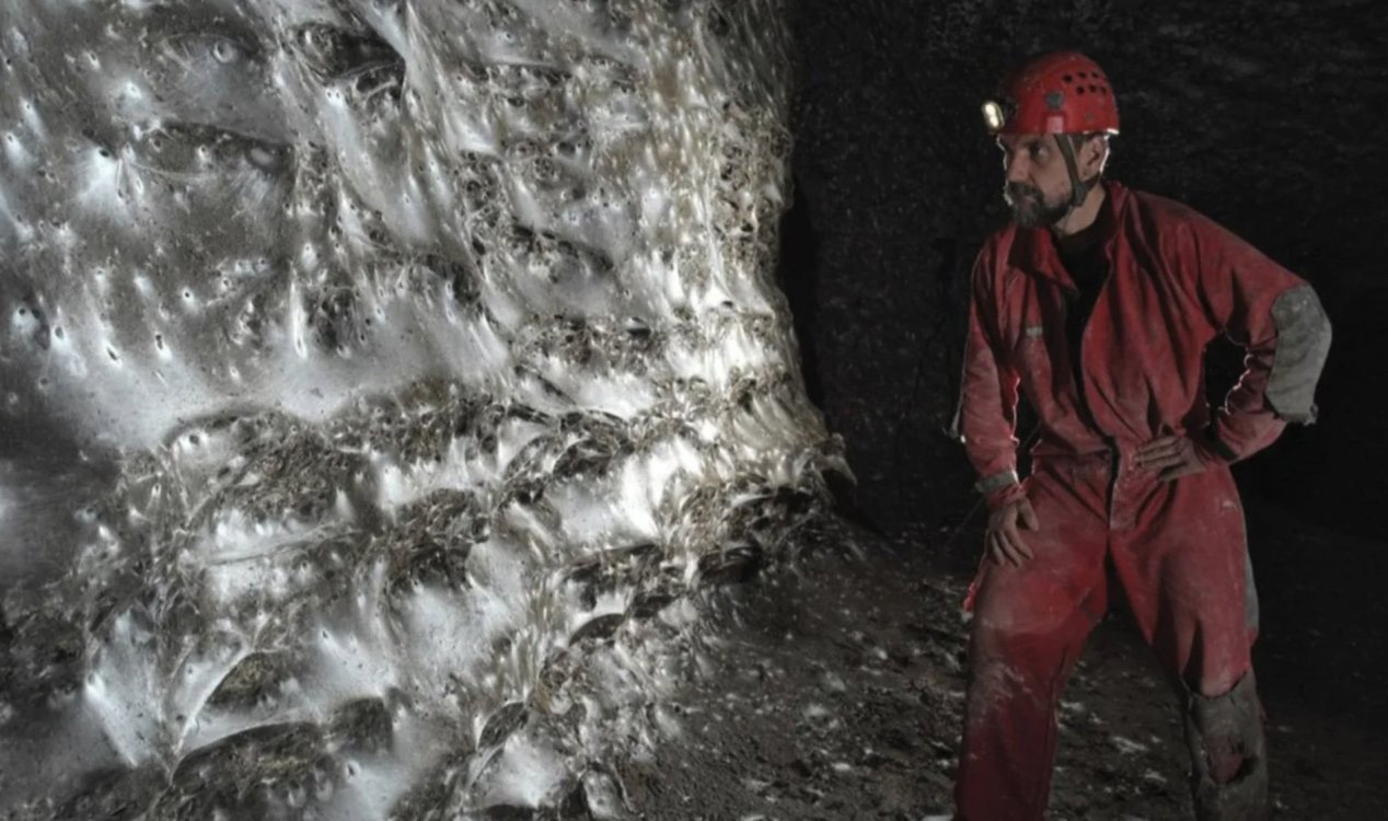 Das größte Spinnennetz der Welt wurde in einer Höhle in Europa entdeckt