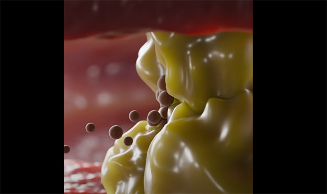 Eine erschreckende Simulation zeigt genau, wie Rauchen die Lunge zerstört (Video)