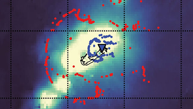 Eine riesige Struktur, die tief unter Bermuda entdeckt wurde, ist einzigartig auf der Erde