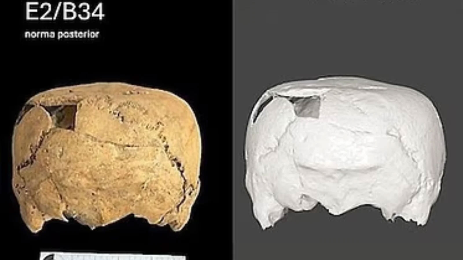 Mysteriöser, würfelförmiger Schädel in Mexiko entdeckt – Debatte über den Ursprung des Menschen entfacht
