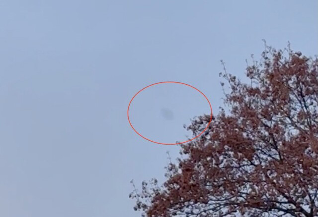 Medienbericht: Kanadischer Autofahrer filmt rätselhaftes UFO (Video)