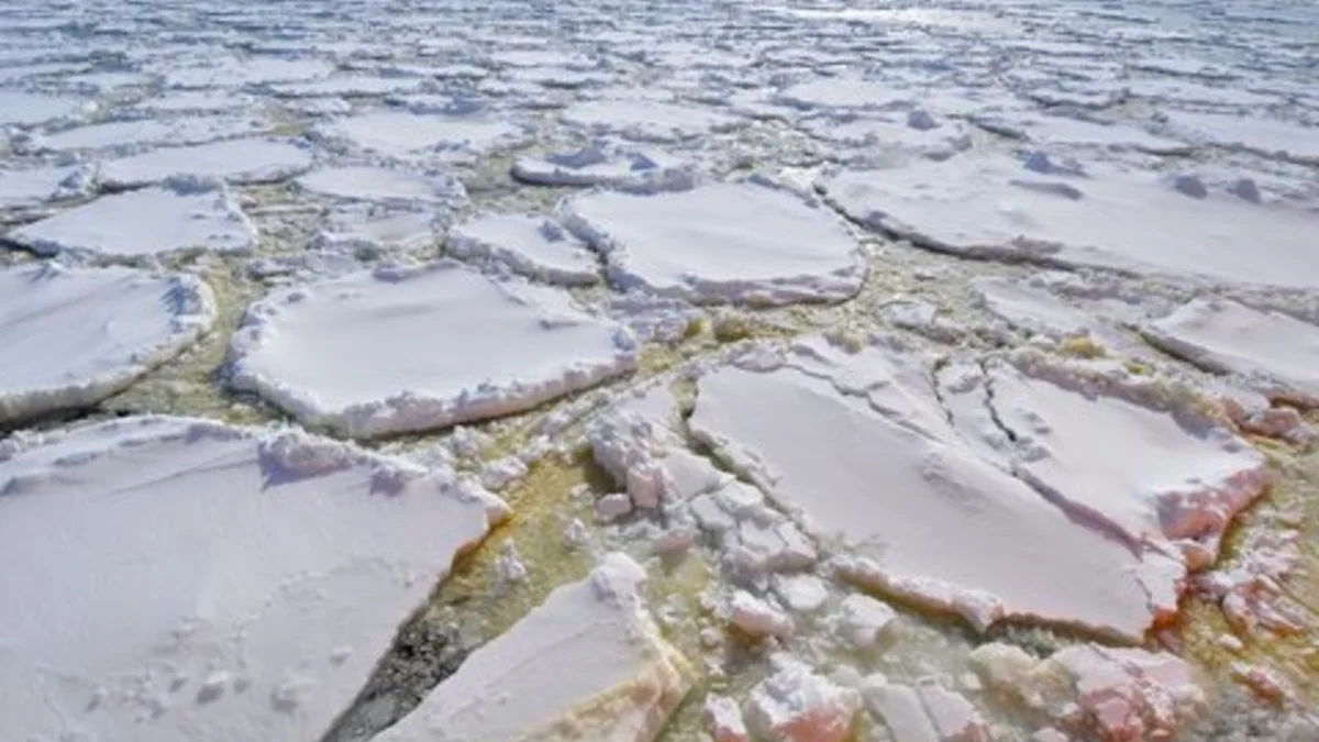 Tiefseebeben verursachen massive Phytoplanktonblüten in der Nähe der Antarktis