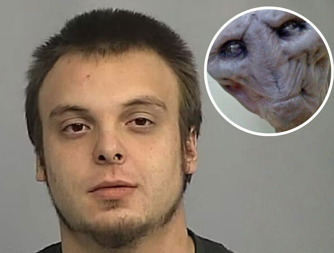 Mann behauptet er komme aus dem Jahr 2048 um die Menschheit zu warnen