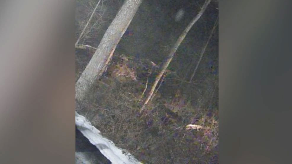 „Mysteriöses Reptil“ in Pennsylvania gesichtet (Video)