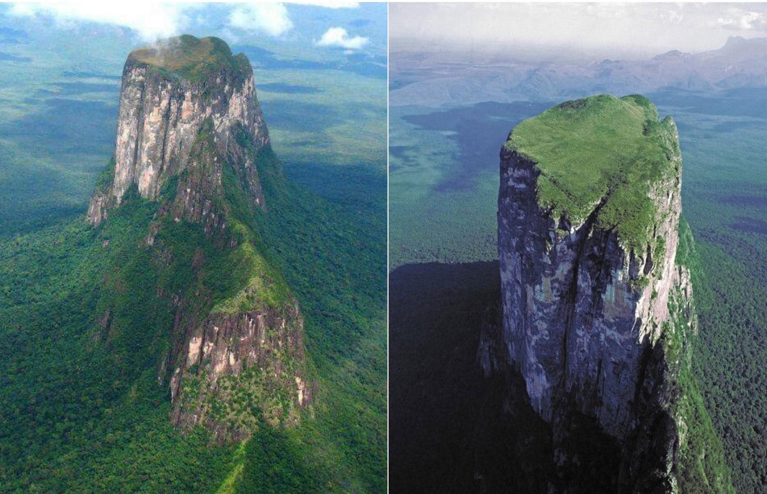 Die Riesenbäume: Bevor es Berge gab … war die Erde anders