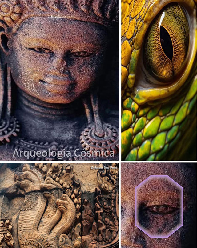 Verbotene Archäologie: Schau ihr in die Augen… sie sind lang, tief, fast reptilienhaft