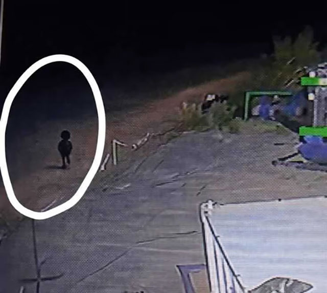 Medienbericht: Kobold treibt Unfug auf argentinischem Ölfeld? (Video)