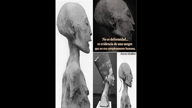 Verbotene Archäologie: 👽 Langgezogene Schädel und außerirdische DNA