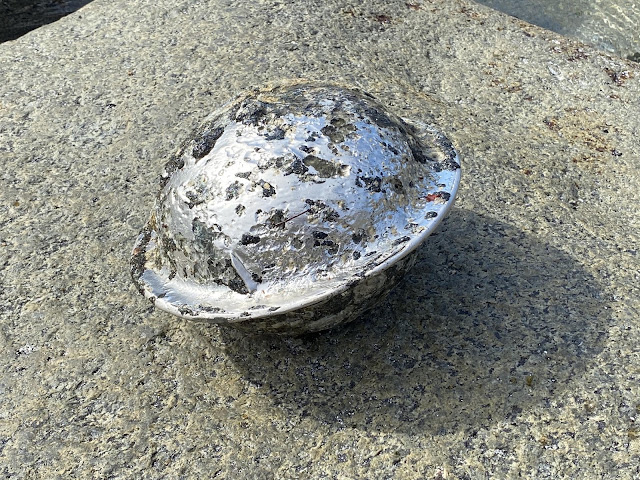 👽 🛸 Jemand hat in Norwegen am Strand eine außerirdische Drohnenkugel gefunden (Video)