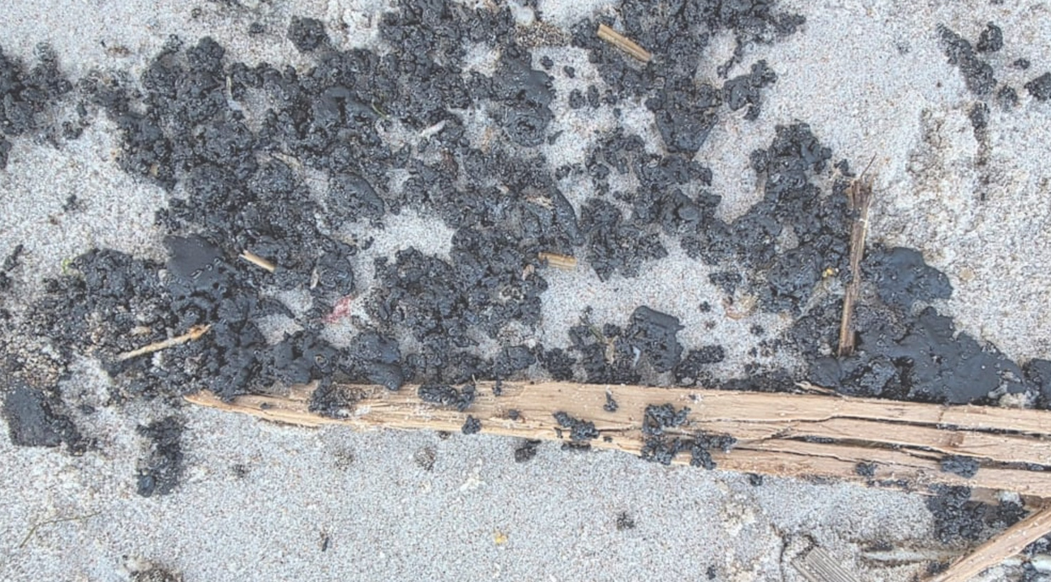 ⚫ 🧐 Selbst Experten wissen nicht, was es ist : Mysteriöse Klumpen aus der Ostsee angespült